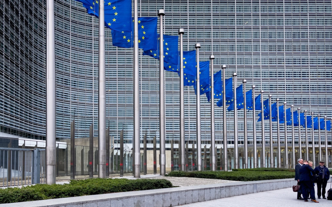 L’Europa dei buoni propositi e dei portafogli vuoti